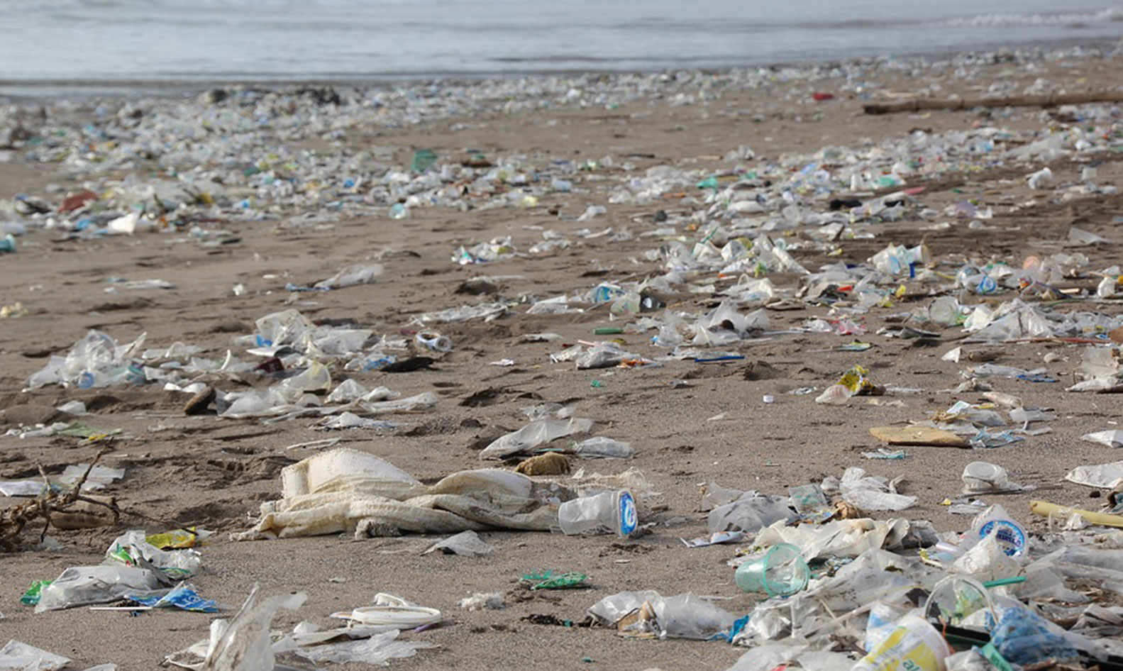 Dechets sur une plage